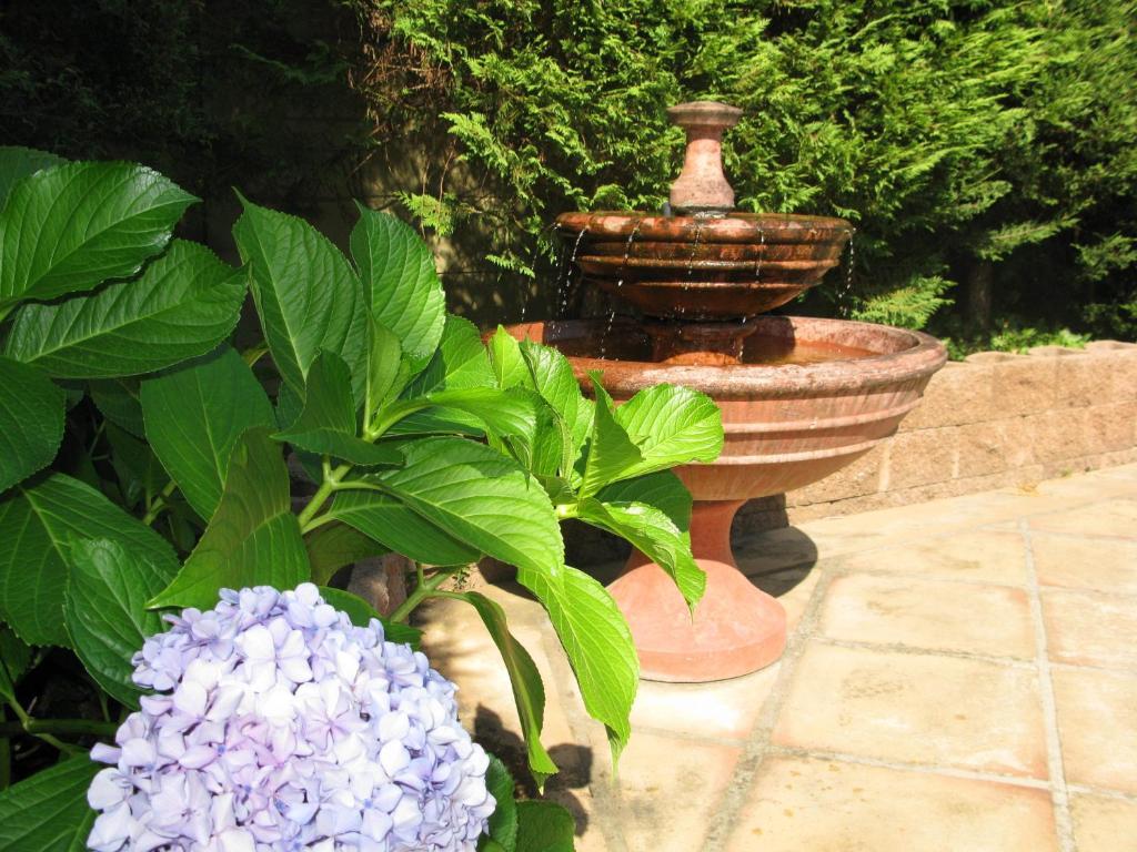 ستيلينبوش Casablanca Bed And Breakfast المظهر الخارجي الصورة